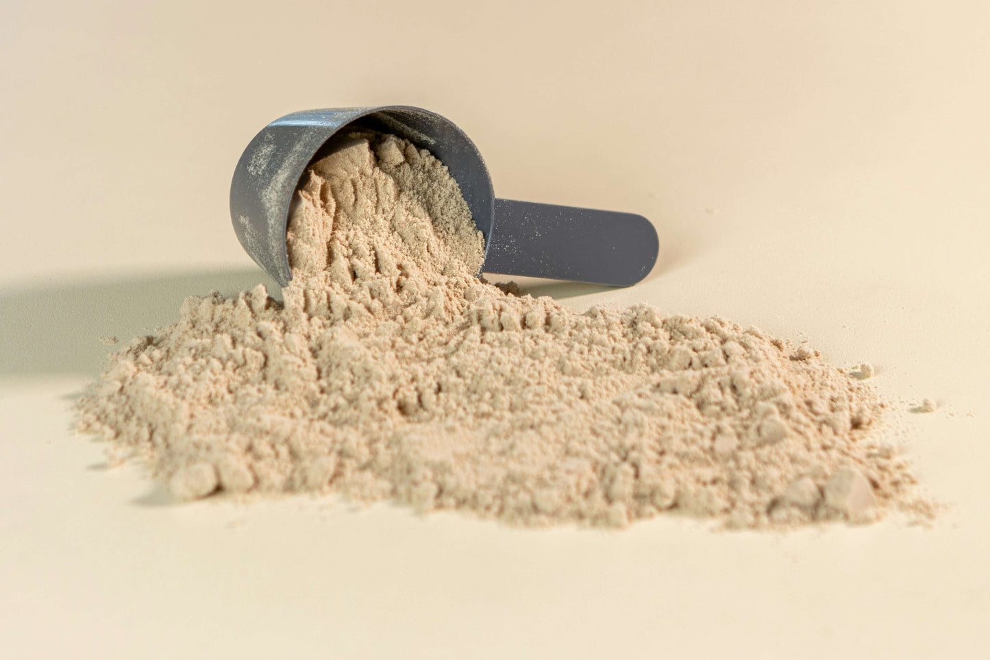 The Best Protein Powder for Ninja Creami: A Category-by-Category Guide
