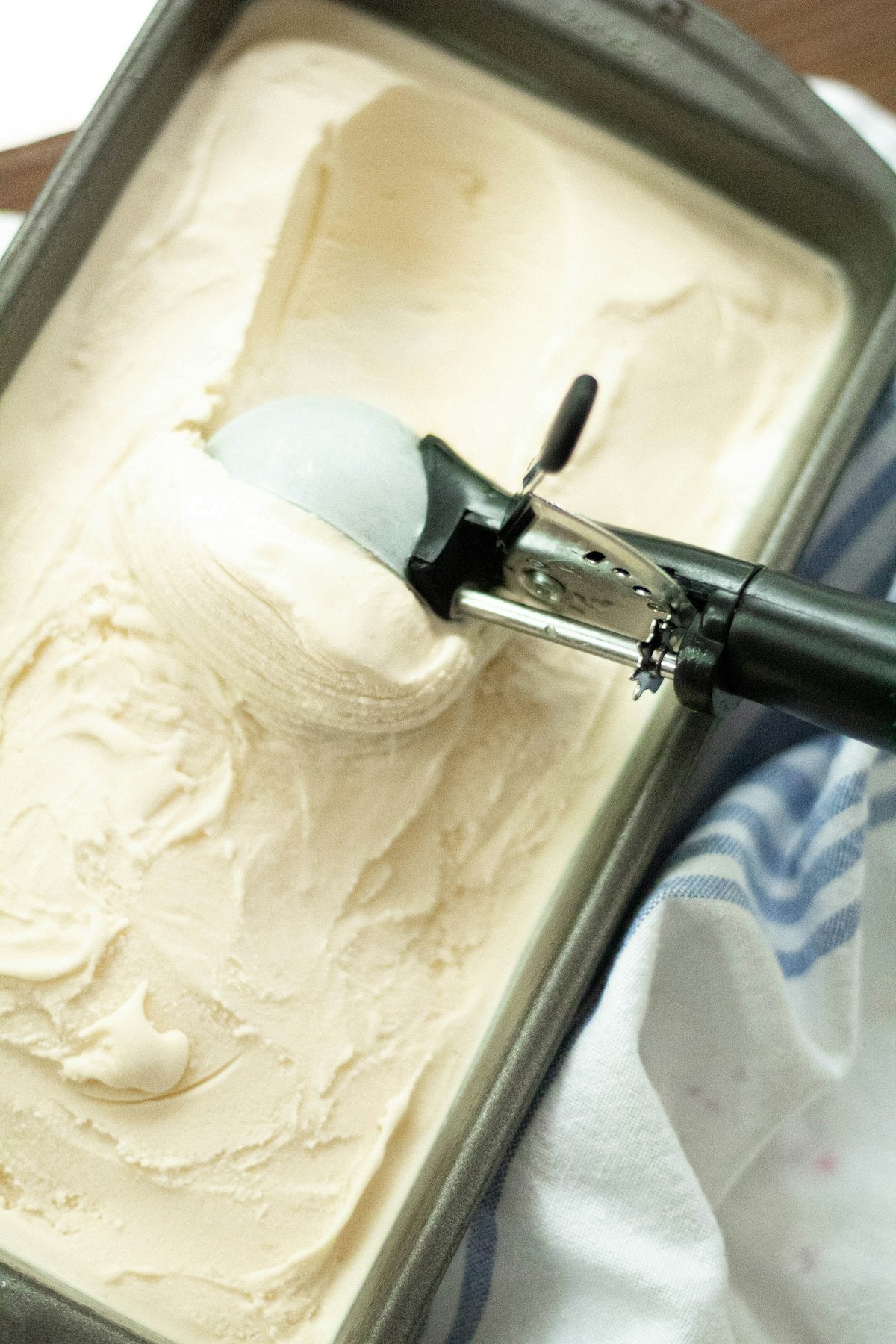 Ninja Creami Protein Ice Cream: The Complete Guide