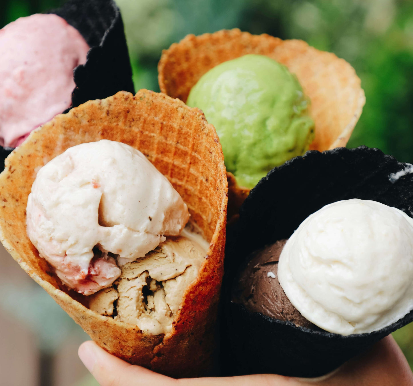 Why Is My Ninja Creami Ice Cream Powdery? Causes, Fixes, and How to Prevent It